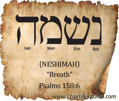 Devotionals – Chaim Bentorah