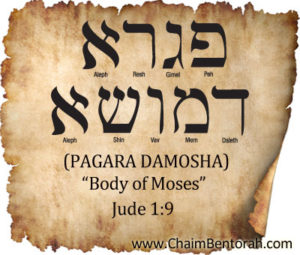 Hebrew word for body