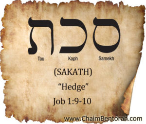 HEBREW WORD STUDY – HEDGE - Chaim Bentorah