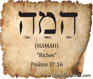 HEBREW WORD STUDY – RICHES - Chaim Bentorah