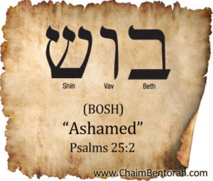 Hebrew Word Study Ashamed Chaim Bentorah