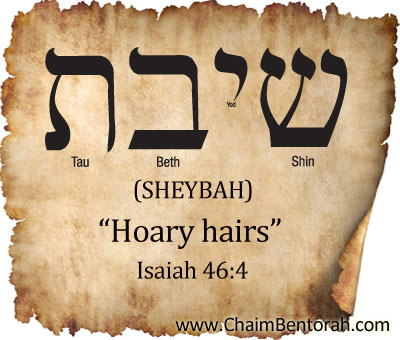 HEBREW WORD STUDY – HOARY HAIRS - Chaim Bentorah