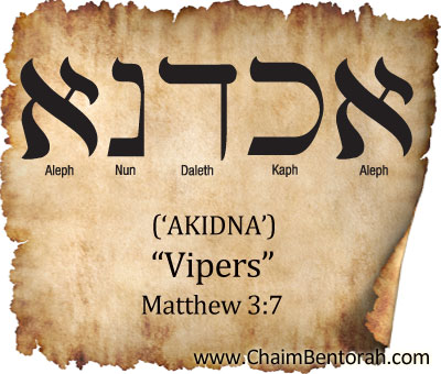 ARAMAIC WORD STUDY – VIPERS