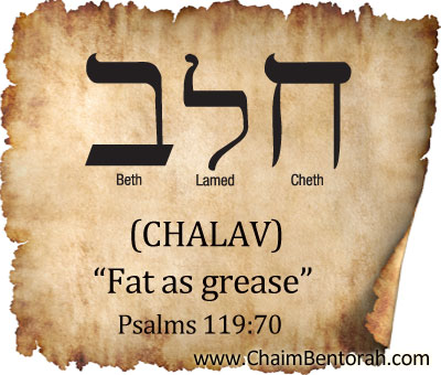 HEBREW WORD STUDY – FAT AS GREASE | Chaim Bentorah