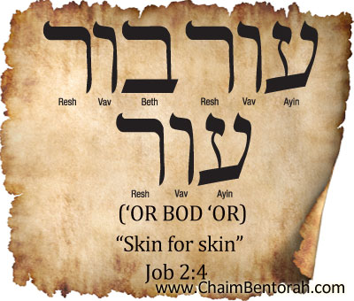 HEBREW WORD STUDY – SKIN FOR SKIN - Chaim Bentorah