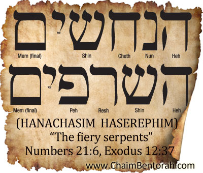 HEBREW WORD STUDY – THE FIERY SERPENTS | Chaim Bentorah