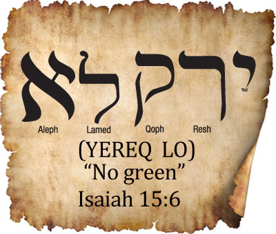 Hebrew Word Study – No Green - Chaim Bentorah