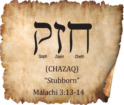 HEBREW WORD STUDY – STUBBORN - Chaim Bentorah