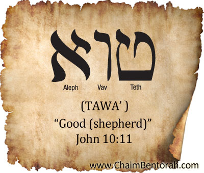 HEBREW WORD STUDY: (ARAMAIC) GOOD (SHEPHERD) - Chaim Bentorah