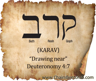 hebrew greek interlinear bible deut chapter 8
