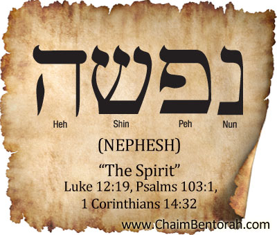 HEBREW WORD STUDY – THE SPIRIT | Chaim Bentorah