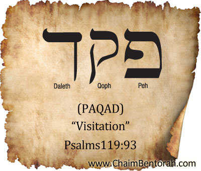 HEBREW WORD STUDY – VISITATION – PAQAD פקד   