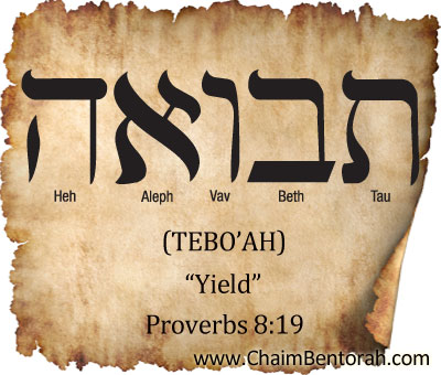 HEBREW WORD STUDY – YIELD - Chaim Bentorah