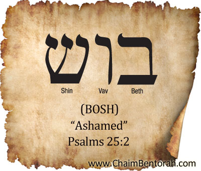 HEBREW WORD STUDY – ASHAMED - Chaim Bentorah