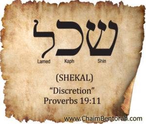 Hebrew Word Study Discretion Chaim Bentorah