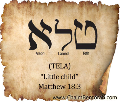 HEBREW WORD STUDY- TELA: LITTLE CHILD