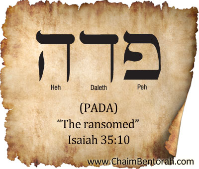 HEBREW WORD STUDY – THE RANSOMED - Chaim Bentorah