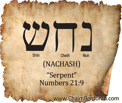 HEBREW WORD STUDY – SERPENT - Chaim Bentorah