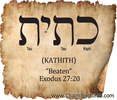 HEBREW WORD STUDY – BEATEN - Chaim Bentorah