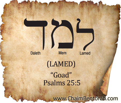 HEBREW WORD STUDY – GOAD | Chaim Bentorah