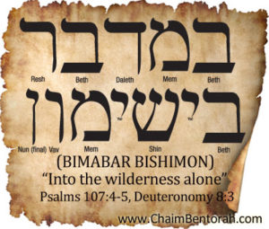 HEBREW WORD STUDY – IN THE WILDERNESS ALONE | Chaim Bentorah