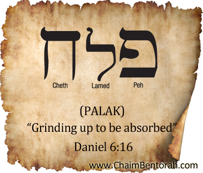 ARAMAIC WORD STUDY – GRINDING UP TO BE ABSORBED - Chaim Bentorah