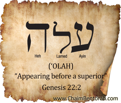 HEBREW WORD STUDY – APPEAR BEFORE A SUPERIOR - Chaim Bentorah