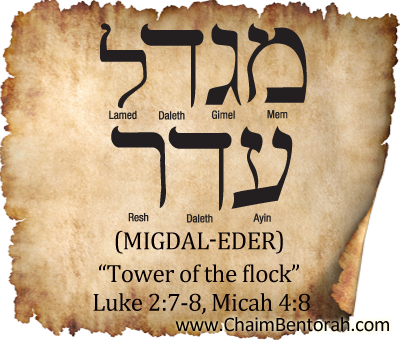 HEBREW WORD STUDY – TOWER OF THE FLOCK – MIGDAL-EDER