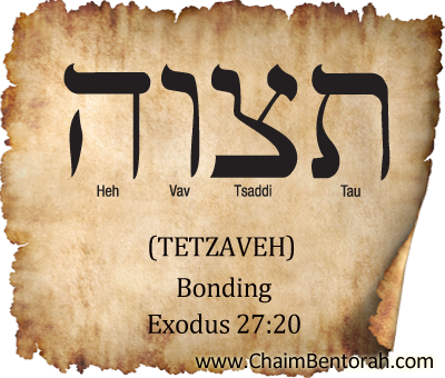 HEBREW WORD STUDY – BONDING – - Chaim Bentorah