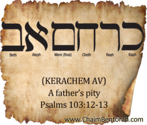 A Father’s Pity | Chaim Bentorah