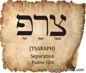 HEBREW WORD STUDY: SEPARATION – TSARAPH - Chaim Bentorah