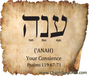 HEBREW WORD STUDY – YOUR CONSCIENCE – ‘ANAH - Chaim Bentorah