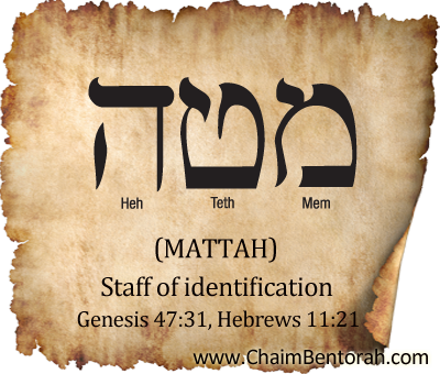 HEBREW WORD STUDY – STAFF OF IDENTIFICATION