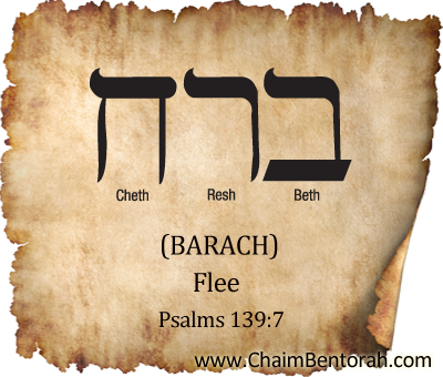 HEBREW WORD STUDY – FLEE - Chaim Bentorah