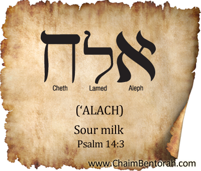 Hebrew Word Study – Sour Milk | Chaim Bentorah