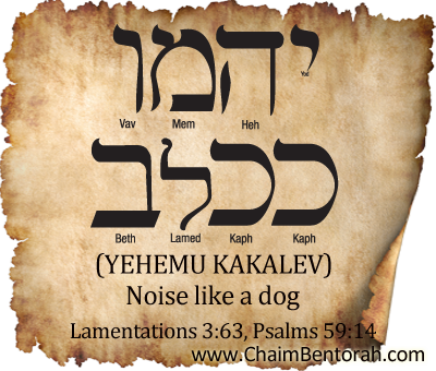 Hebrew word for dog