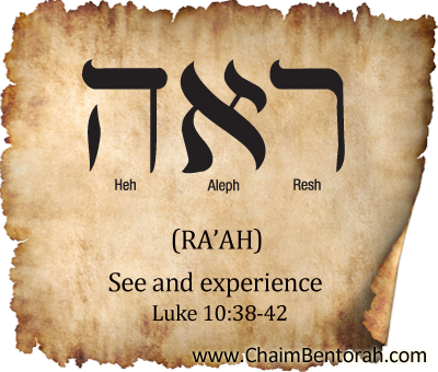 Hebrew Word Study – See And Experience | Chaim Bentorah