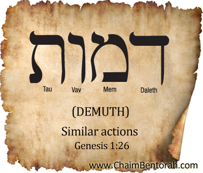 HEBREW WORD STUDY – SIMILAR ACTIONS