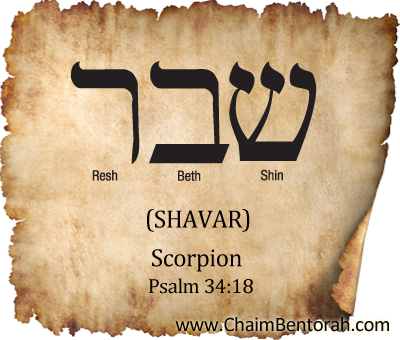 HEBREW WORD STUDY – SCORPION – SHAVAR  שבר 