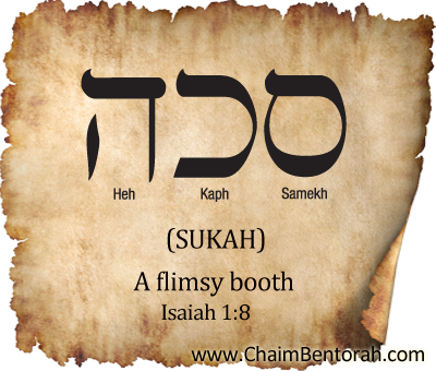 HEBREW WORD STUDY – A FLIMSY BOOTH –סכה Sukah