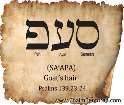 HEBREW WORD STUDY – GOAT’S HAIR – SA’APA סעף 