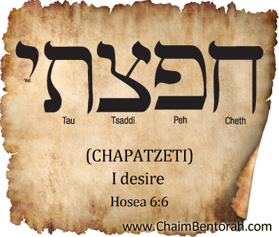 HEBREW WORD STUDY – I DESIRE – CHAPATZETI חפצתי 