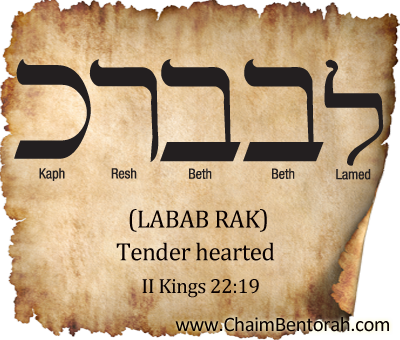 HEBREW WORD STUDY –TENDER HEARTED – LABAB RAK  לבב רך  