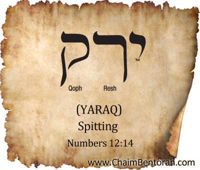 Hebrew word study – spitting – yaraq ירק   