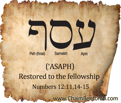 Hebrew Word Study – restored to fellowship – ‘asaph  עסף