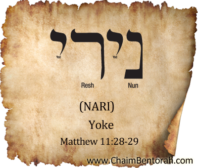 Aramaic  Word Study – Yoke – Nari  נירי