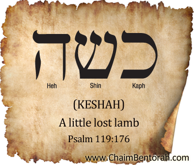 Hebrew Word Study – A Little Lost Lamb – Keshah – כשה | Chaim Bentorah