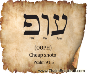 Hebrew Word Study – Cheap Shots – Ooph עוף | Chaim Bentorah