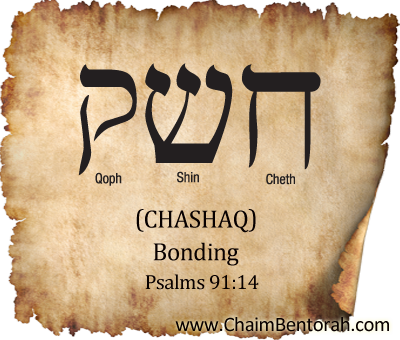 Hebrew Word Study – Bonding – Chashaq חשק