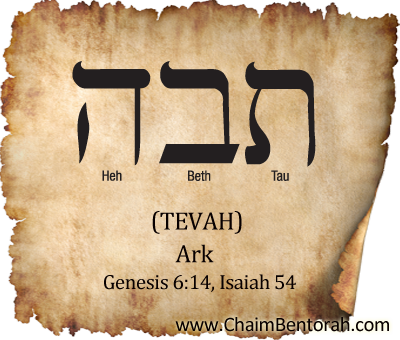 Hebrew Word Study Ark Tevah Chaim Bentorah